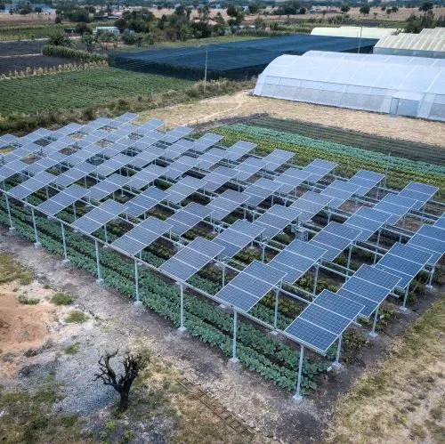 Agrivoltaic System